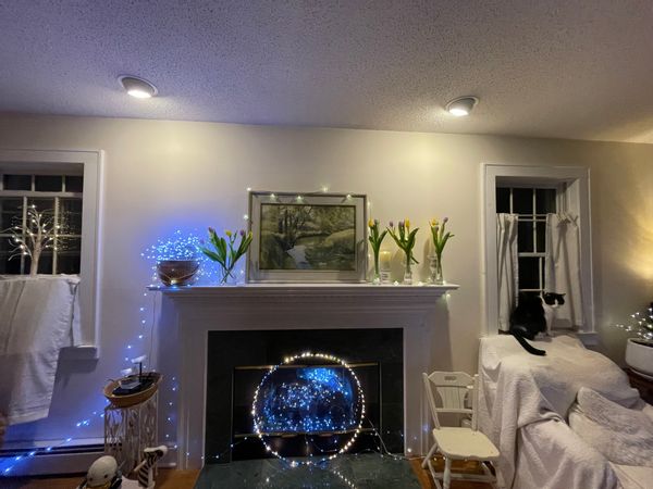 Drew's house invites a quiet guest. It has a cozy front porch and the inside is filled with twinkly lights and one shy cat.