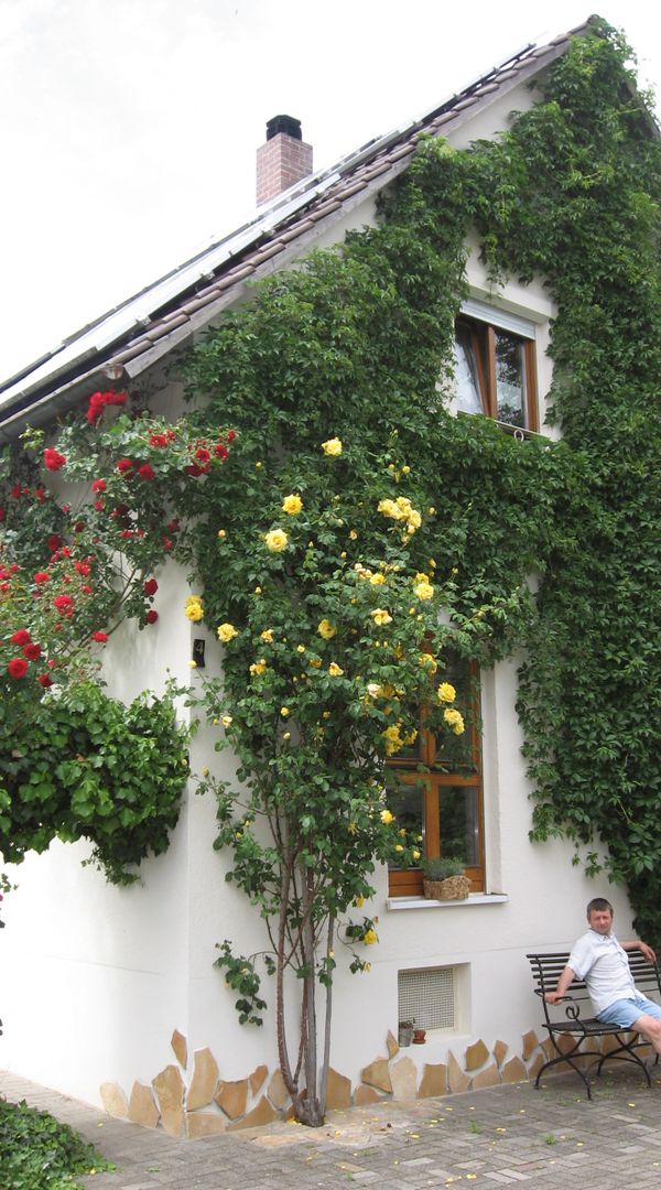 Ilonas hus