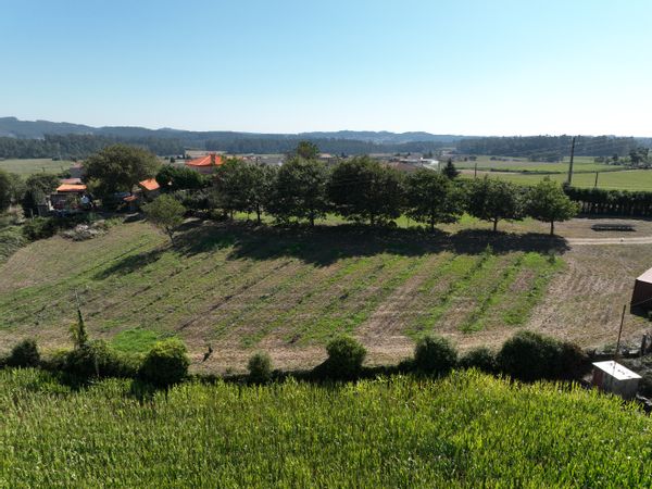 Carla Patrícia's first floor of our charming farmhouse surrounded by nature, but only at 40 minutes drive to Oporto.