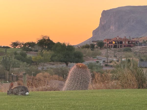 La maison de Melissa