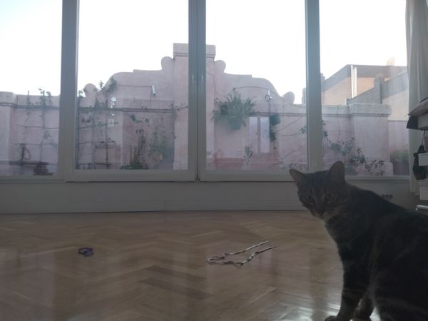 Laura's house