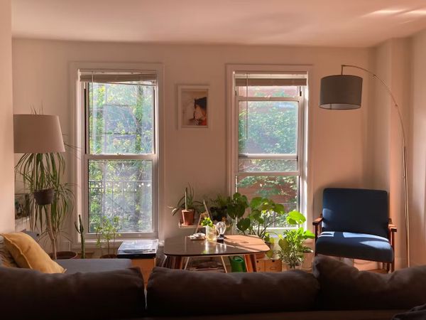 Beautiful light-filled apartment in quiet but cool neighborhood.