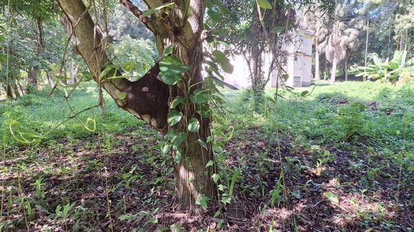 La maison de Juan Miguel