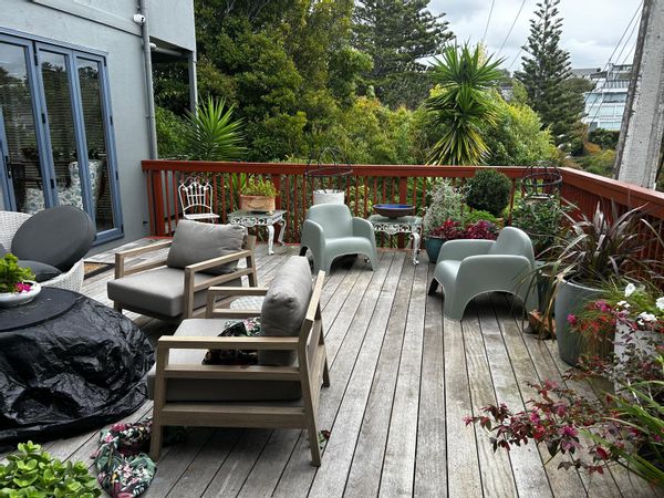An Oasis in the City