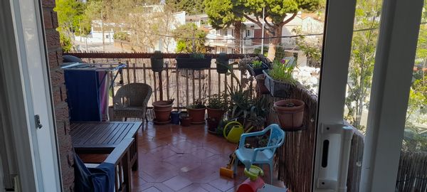 Roberto's house