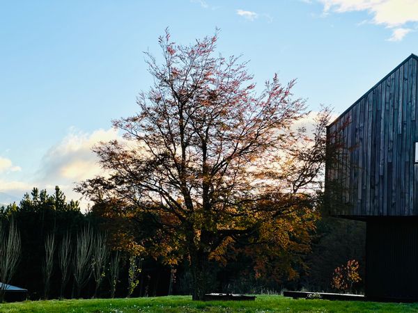 La chambre privée de Johnny