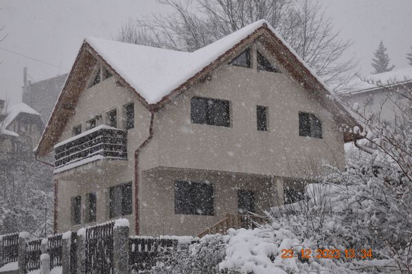 Goat with three kids - 3-room attic apartment in Sinaia