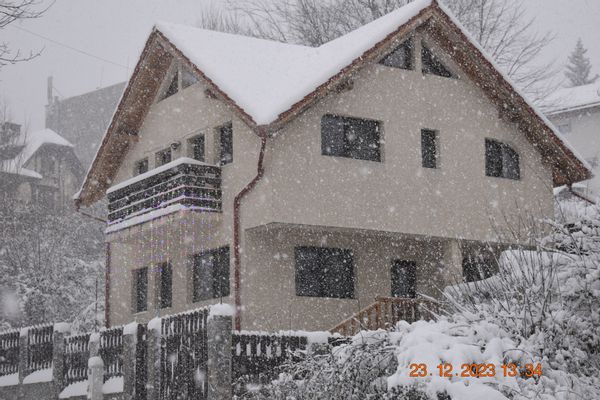 Goat with three kids - 2- rooms ground floor apartment in Sinaia
