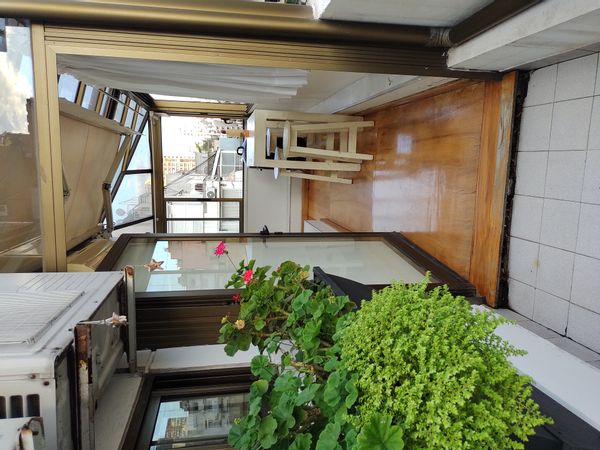 Maria Sol's house
