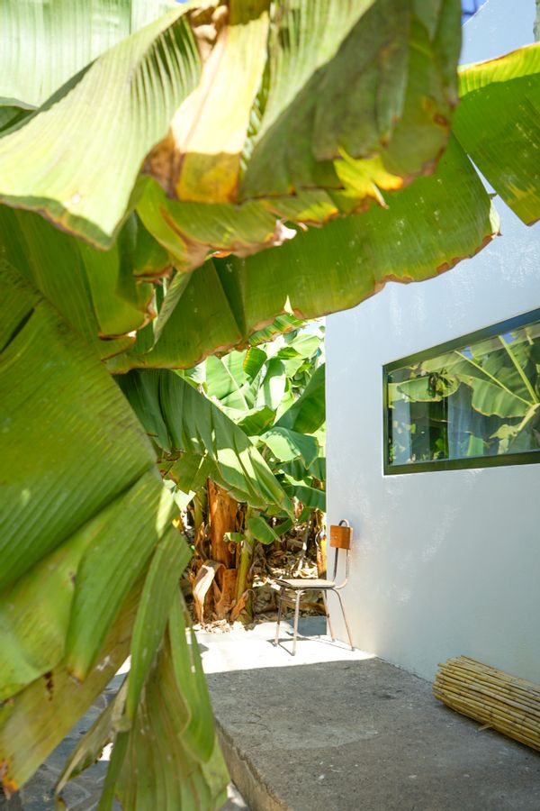 The Tortuga Banana House