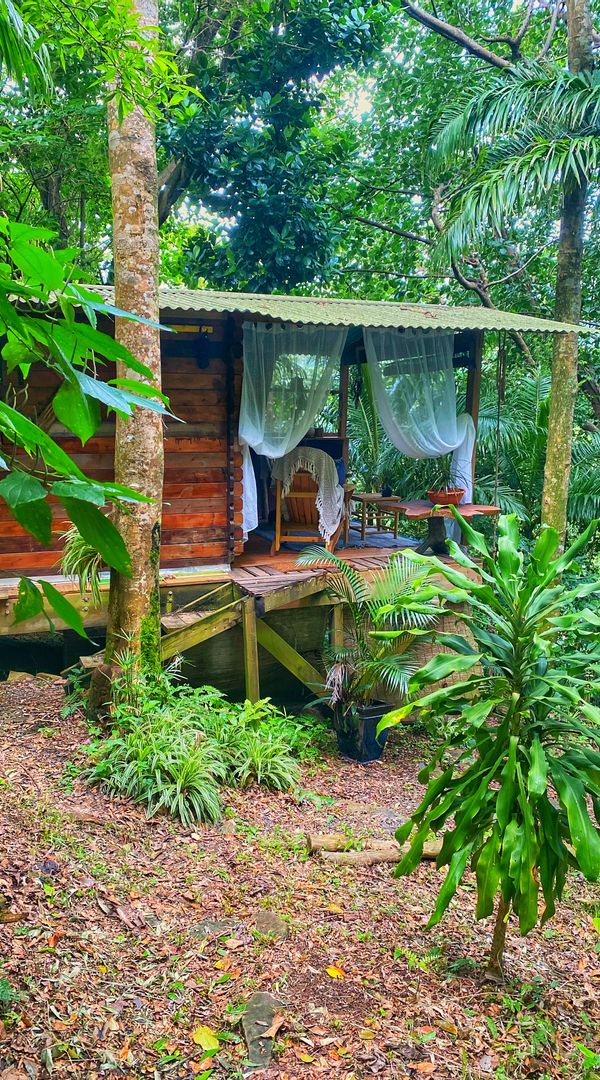 cabane tropicale au coeur de la forêt tropicale