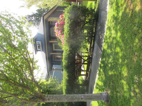 Our family home is located one block from Cook Street Village which has grocery stores, coffee shops, pharmacy, and restaurants (good ones too!). We are also just steps from Beacon Hill Park ( beautiful gardens, sports fields, childrens farm, pathways and trails, look out points, lots of peacocks, deer, etc.) and only five blocks from the beach. You can cold plunge there and walk home for a sauna or use our plunge right in the backyard, On Saturday's our neighborhood hosts the Moss Street Market, a year-round farmers market. Everything you need is within walking distance and you can reach Victoria's inner harbour in about 15 minutes on foot. As an added bonus, our neighbors are great too!