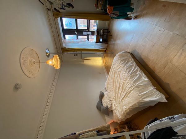 Saoirse's house