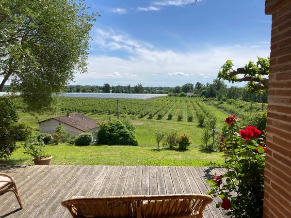 Située en plein cœur de la campagne, cette maison offre une vue imprenable sur les champs environnants. À deux pas d’une forêt propice aux randonnées dans les coteaux, elle constitue un véritable havre de paix pour les amoureux de nature. Son emplacement est idéal : à seulement 20 minutes de Montauban, vous pourrez facilement profiter des musées et des nombreuses activités culturelles qu’offre la ville.
