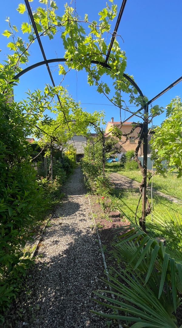 Maison de village en terre