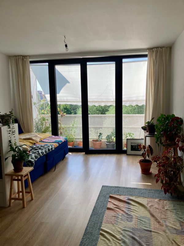 Katrien's house