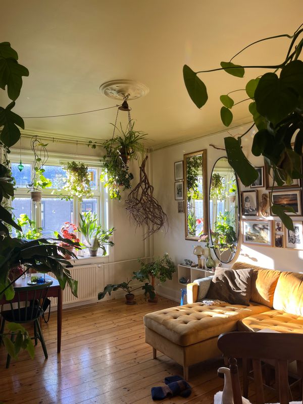 La maison de Flor