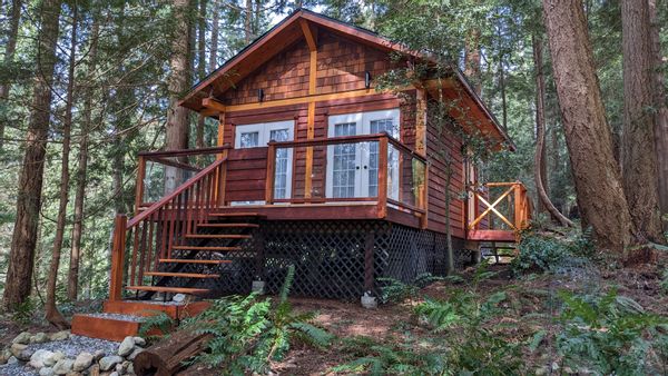 Sweet houselet nestled among tall trees