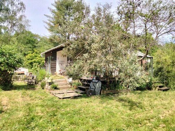 Chalet en bois isolé en bordure de forêt et de rivière