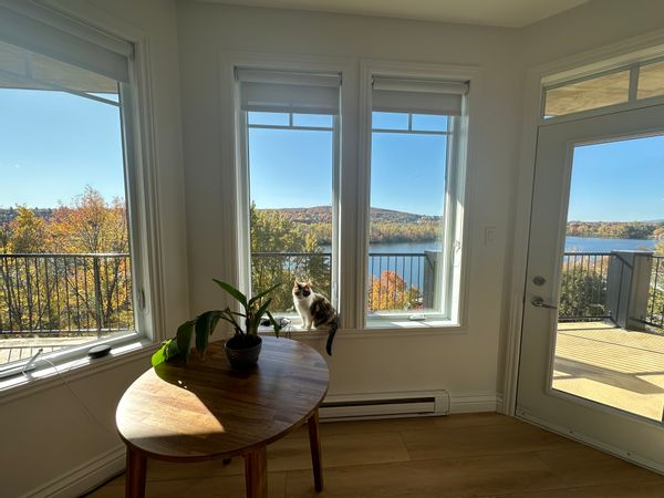 Modern condo with superb views of the Lac des Nations