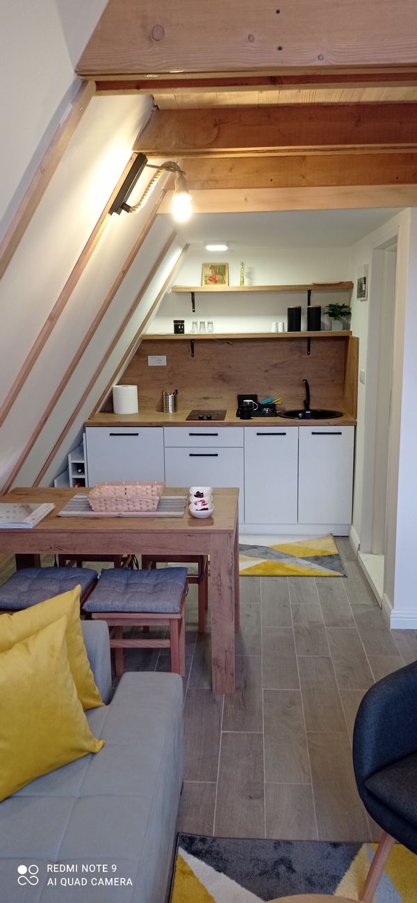 Igors hus