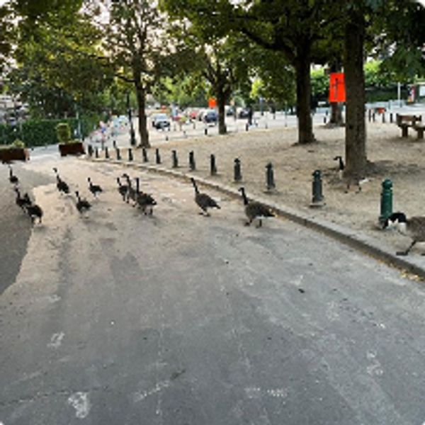 Chambre Lumineuse Ouest