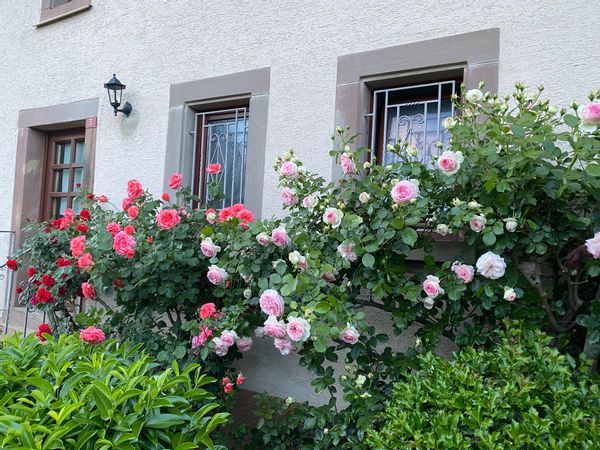 Casa de Frédérique