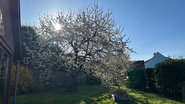 Maison de charme alsacienne