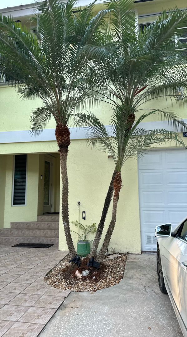 Key largo oasis