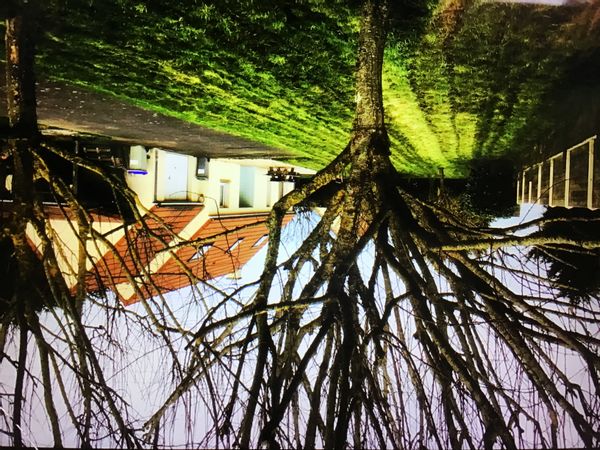 La maison de Thierry est située sur un jardin arboré de 1600m2 et à moins de 2kms de la mer, la maison indépendante et sans vis à vis au nord est proche du bus gratuit pour se rendre à la plage, au port, au centre ville des communes de Donville les bains (1km), Granville (2km), Saint pair sur mer  (3 km)… Le bus peut aussi vous emmener toute les 40 minutes vers une très bonne boulangerie se situant à 800m sur la commune d’Yquelon ou un peu plus loin vers une zone commerciale. Du chemin de la maison, vous pouvez vous rendre directement à la plage par des sentiers piétons arborés. Pour les amoureux de la randonnée cyclotouriste, les nombreuses voies vertes et véloroutes partagées qui sillonnent les départements environnants vous permettent de visiter nos magnifiques régions de Normandie et Bretagne. Au plaisir de vous rencontrer Muriel et Thierry