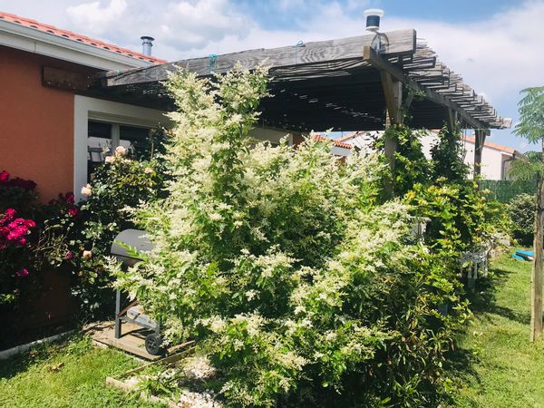 maison de plain pied de 84m2 à la campagne