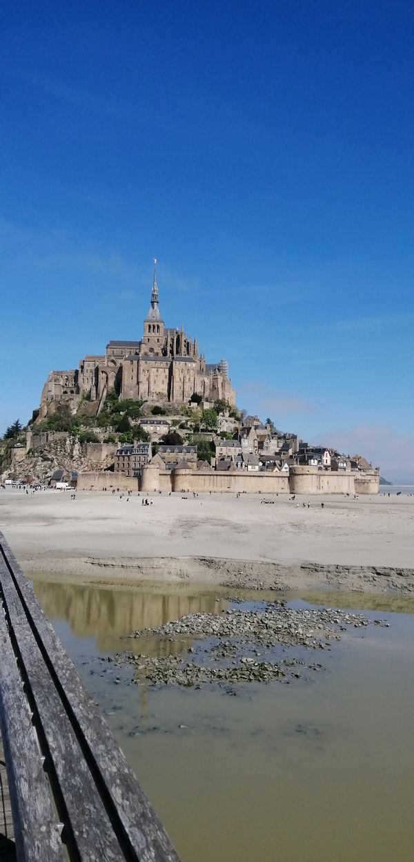 Studette au cœur de la baie du mont St Michel