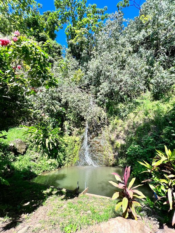 Oasis nature et cascade privée