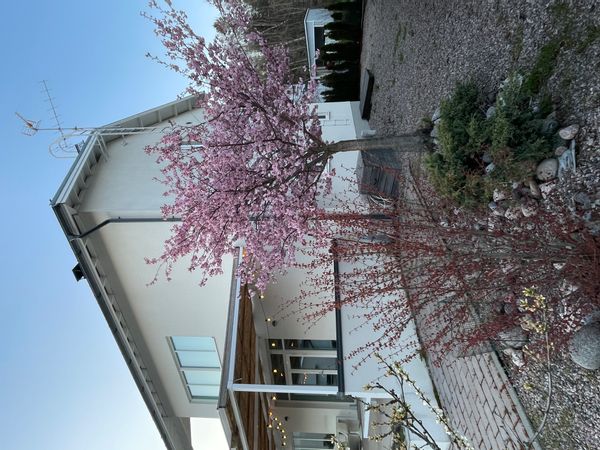 La maison de Stina