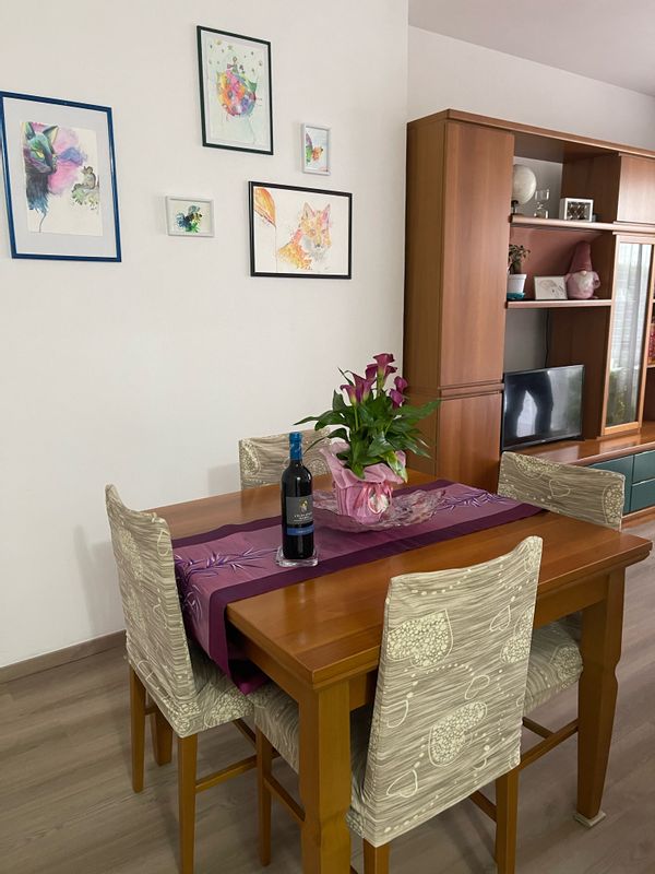 Eliana's house