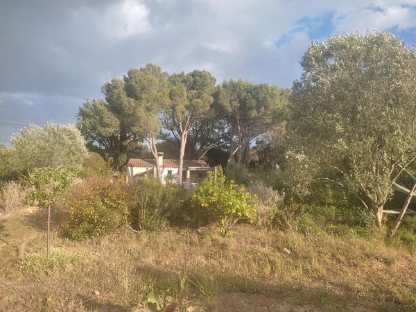 home