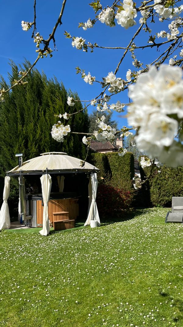 johanna's house
