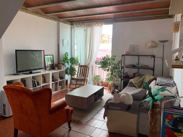 Alba's house