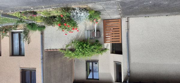 Maison individuelle jumelée au calme