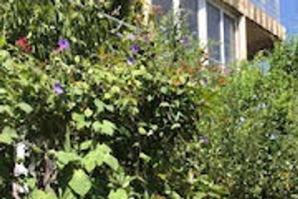 Lou petit paradou ... de Bandol