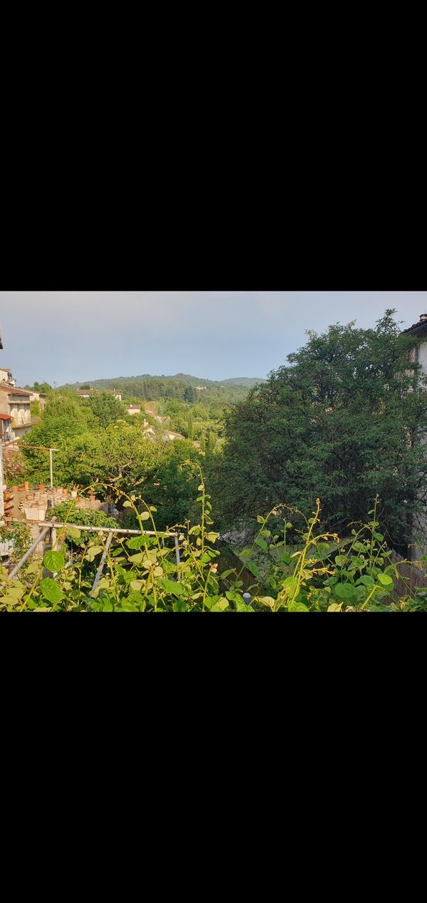 Studio terrasse à Lasalle en Cévennes