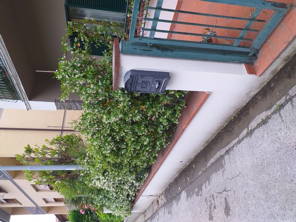 home