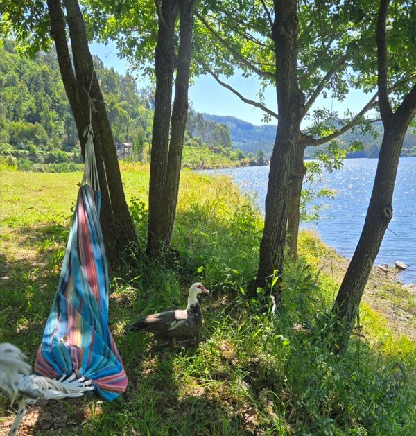 La maison de DANIEL AND YARA