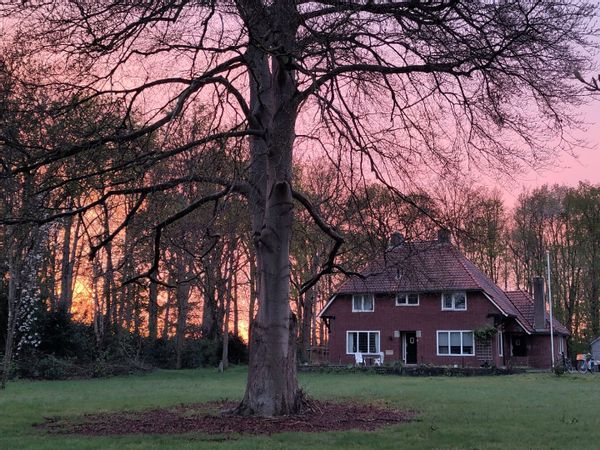 home