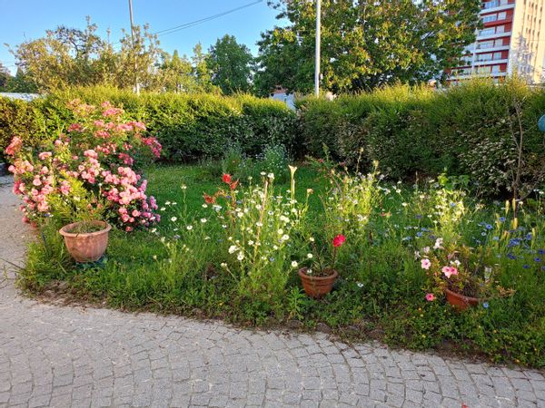 Joli logement calme au rdc de maison