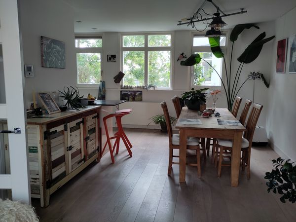 David s Haus