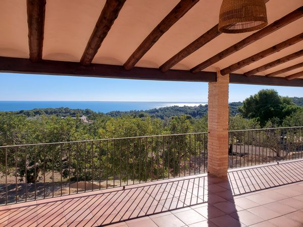 La Finca de Miguel