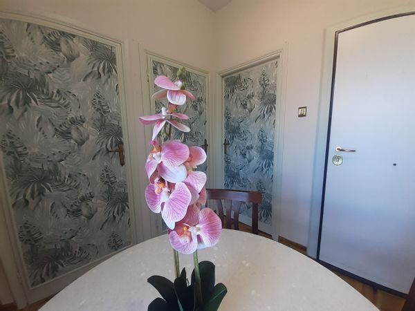 Delfina s Haus