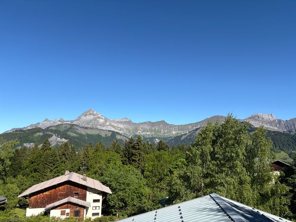 Demi chalet en plein cœur des Alpes françaises, vue exceptionnelle
