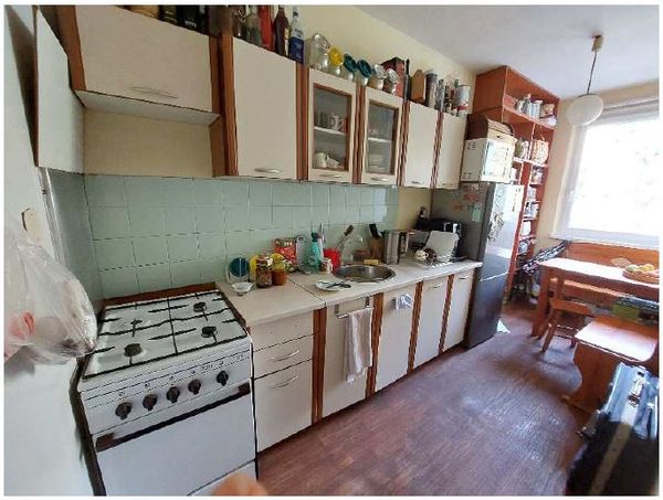 Two bedroom apartment with forest view
